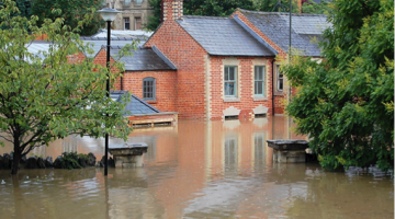 Flood Management, naturally.